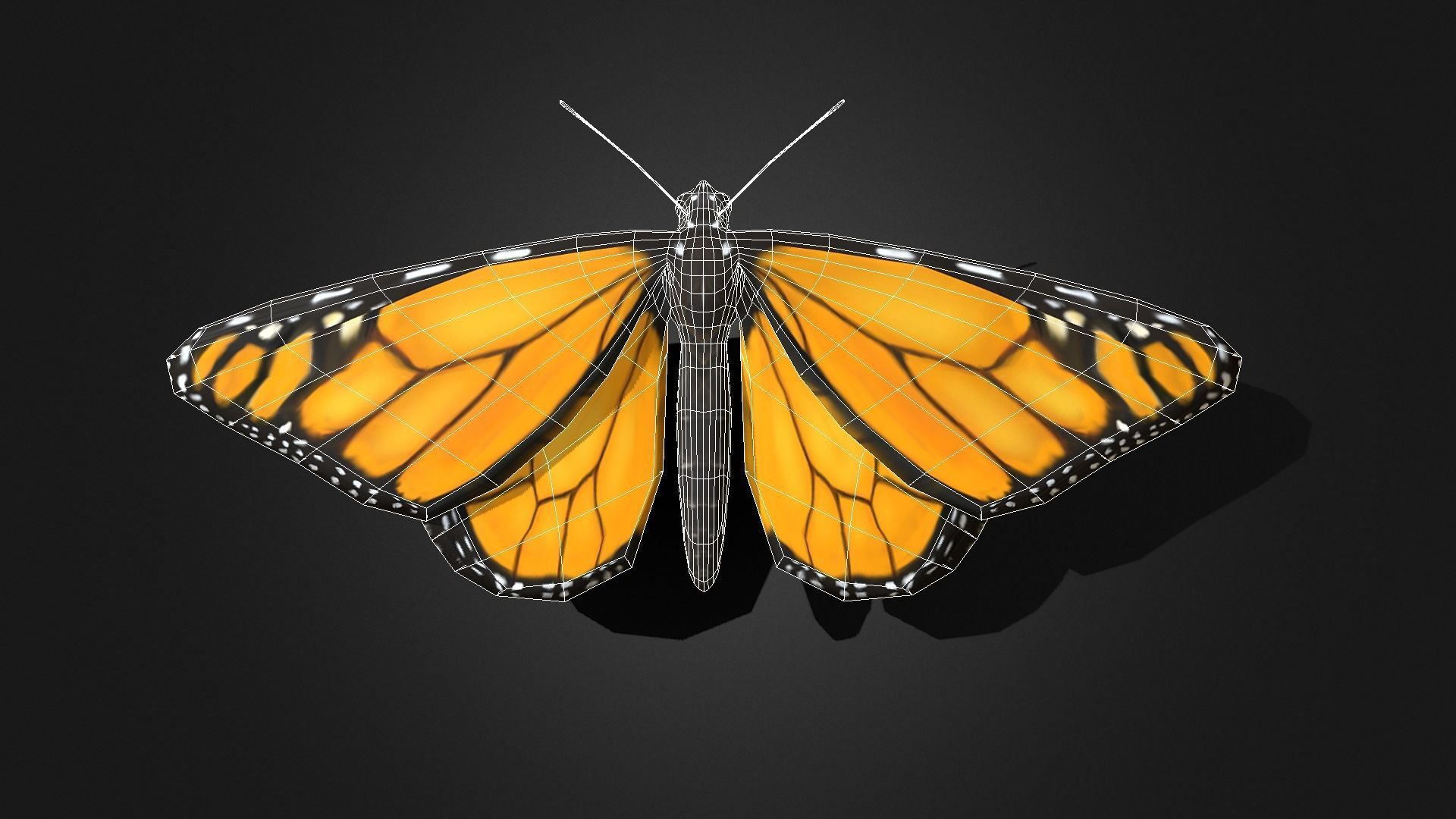 Low poly Monarch Butterfly  -  Animated Low-poly 3D model_2