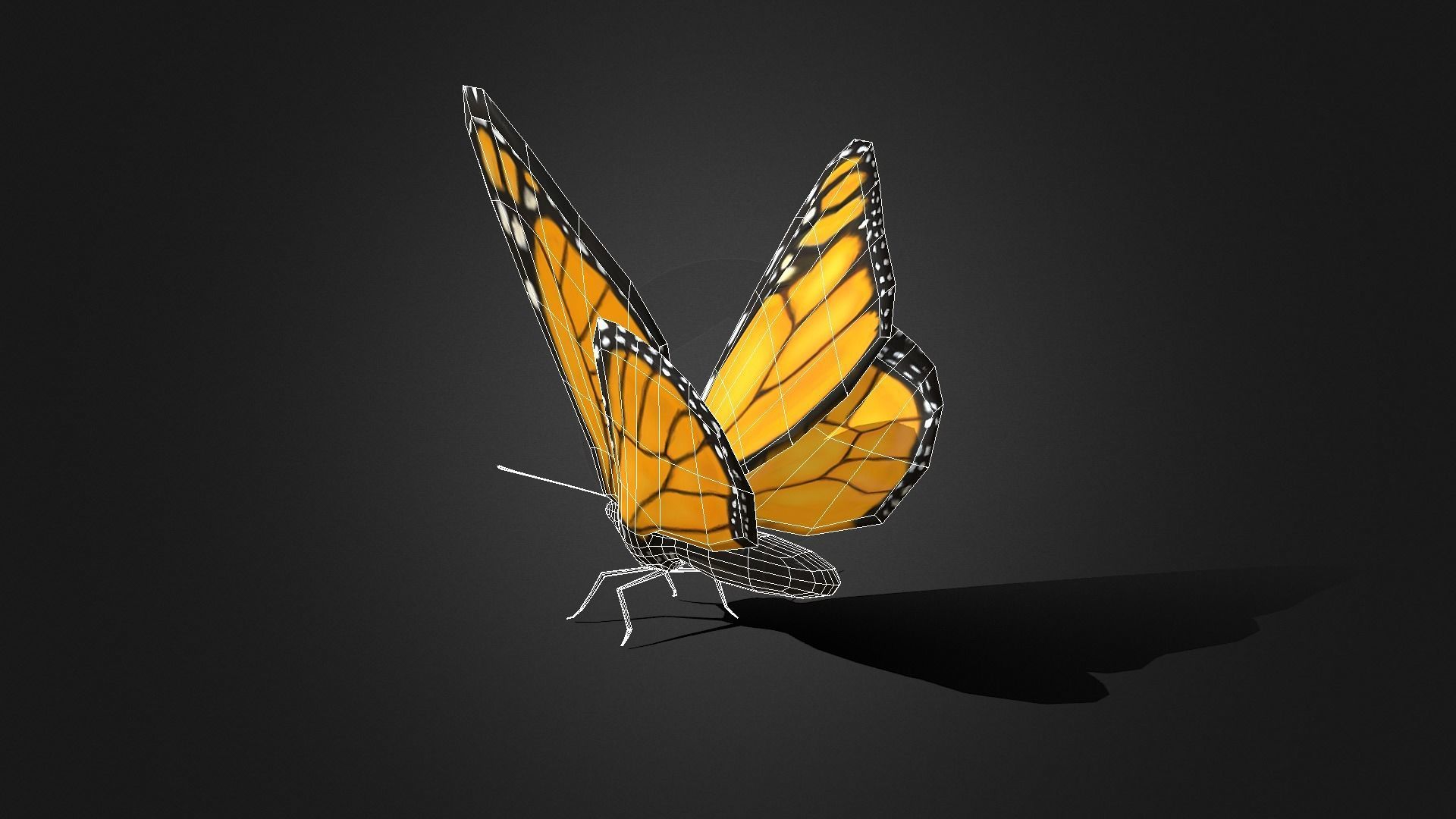 Low poly Monarch Butterfly  -  Animated Low-poly 3D model_8