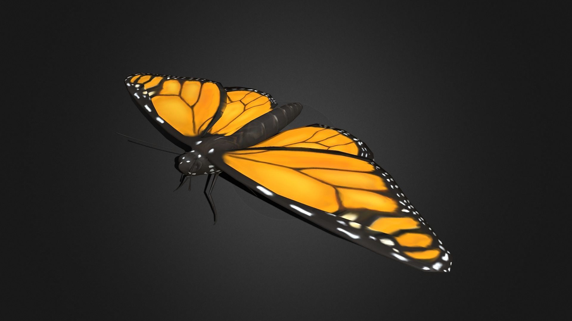 Low poly Monarch Butterfly  -  Animated Low-poly 3D model_3