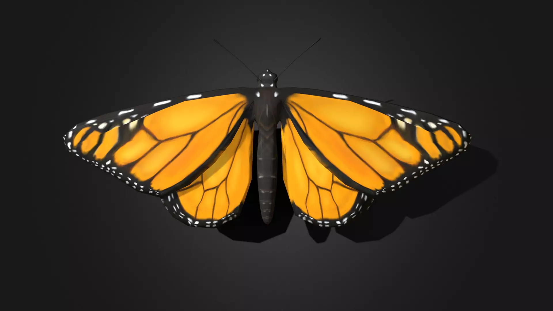 Low poly Monarch Butterfly  -  Animated Low-poly 3D model_0