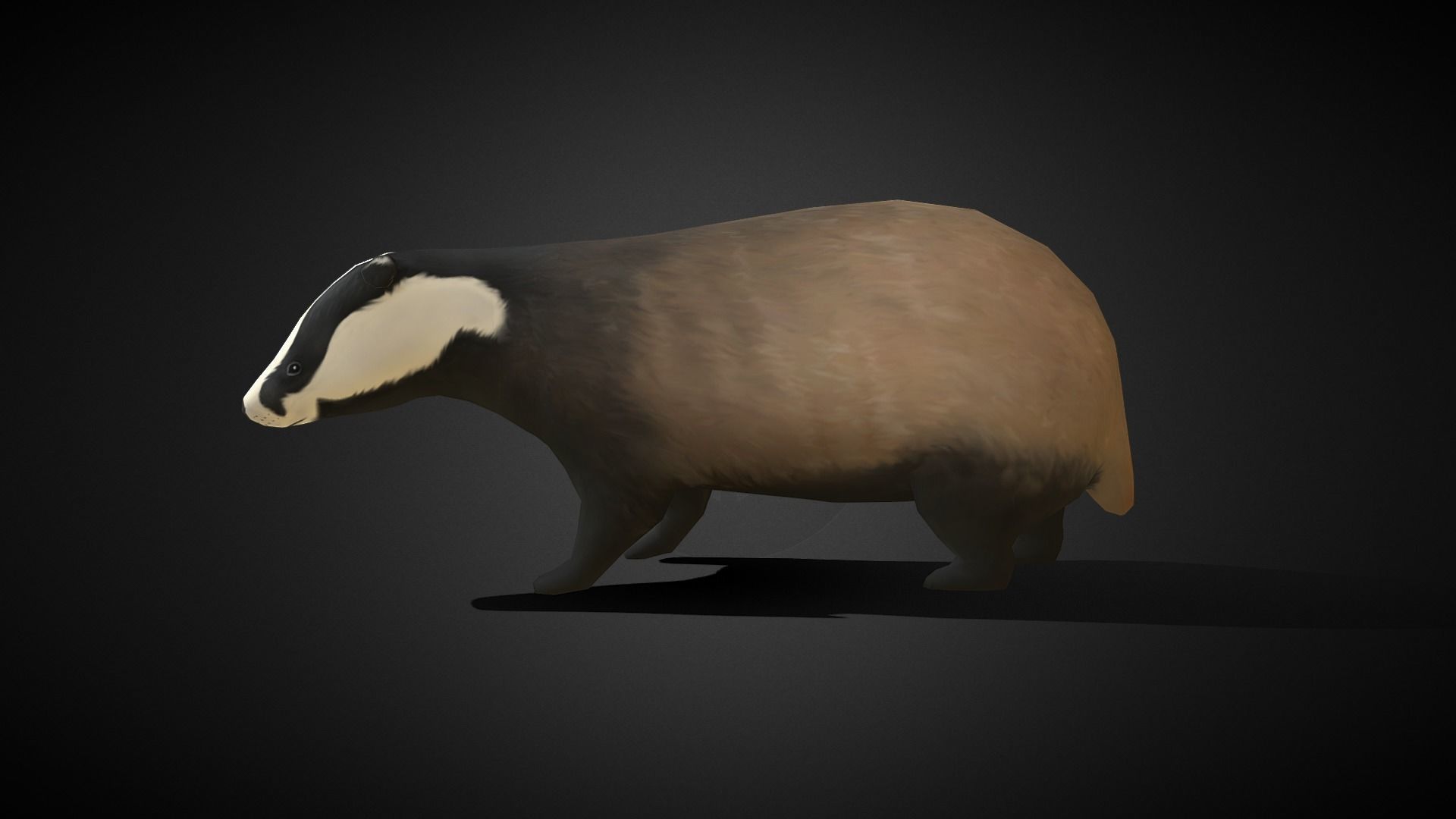 Low poly Honey Badger - Idle Animated Low-poly 3D model_3