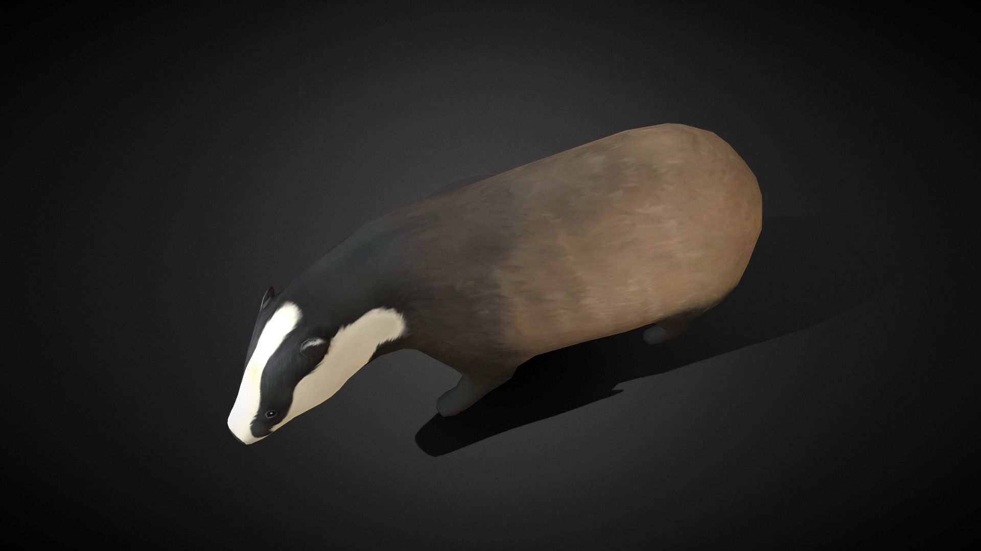 Low poly Honey Badger - Idle Animated Low-poly 3D model_7
