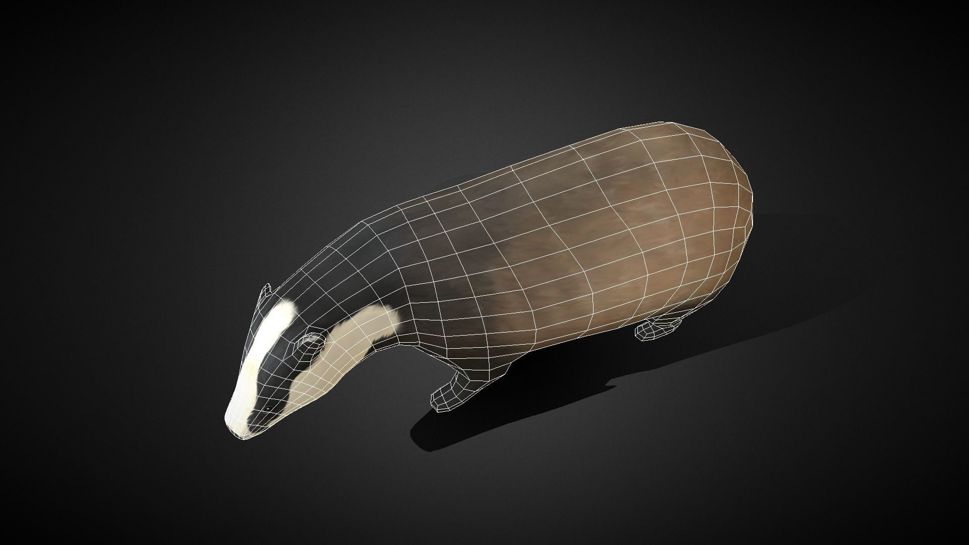 Low poly Honey Badger - Idle Animated Low-poly 3D model_8