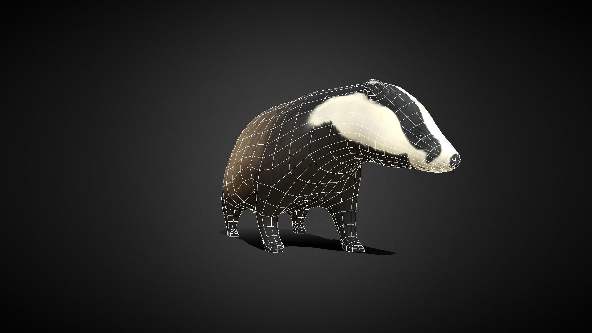 Low poly Honey Badger - Idle Animated Low-poly 3D model_10