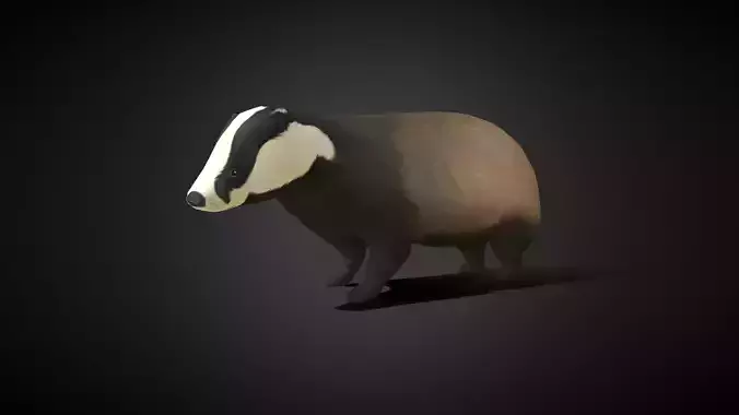 Low poly Honey Badger - Idle Animated Low-poly 3D model