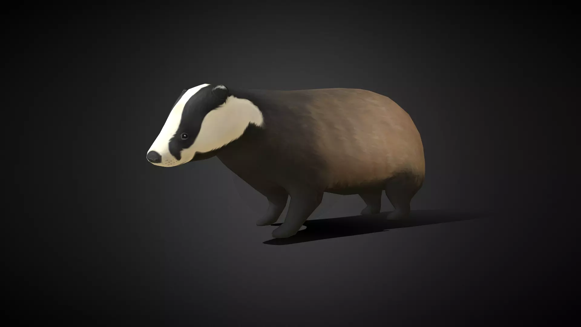 Low poly Honey Badger - Idle Animated Low-poly 3D model_0