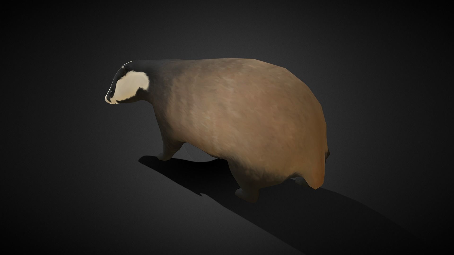 Low poly Honey Badger - Idle Animated Low-poly 3D model_5