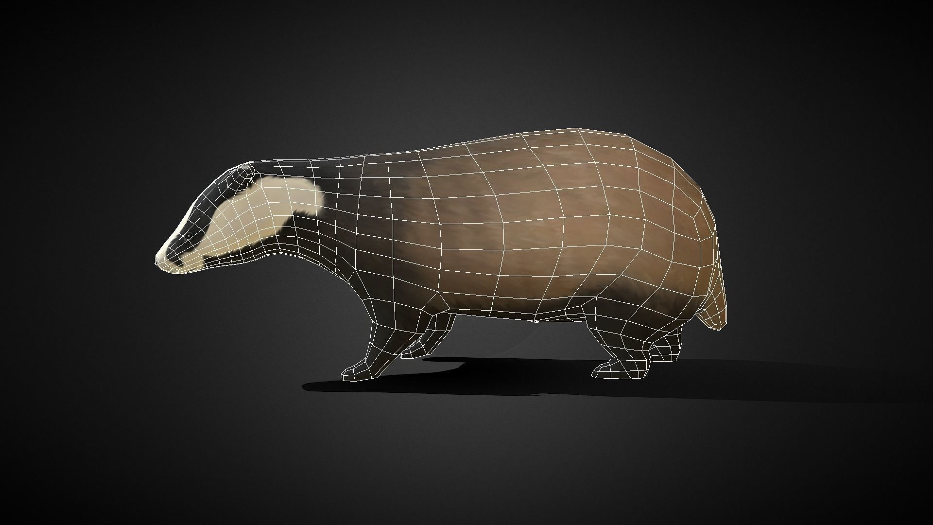 Low poly Honey Badger - Idle Animated Low-poly 3D model_4
