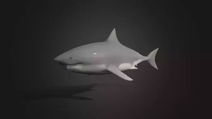 Low poly Great white Shark - Idle Animated Low-poly 3D model