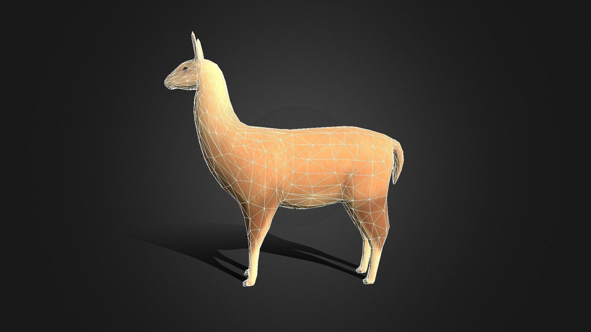 Low poly Llama - Idle Animated Low-poly 3D model_4