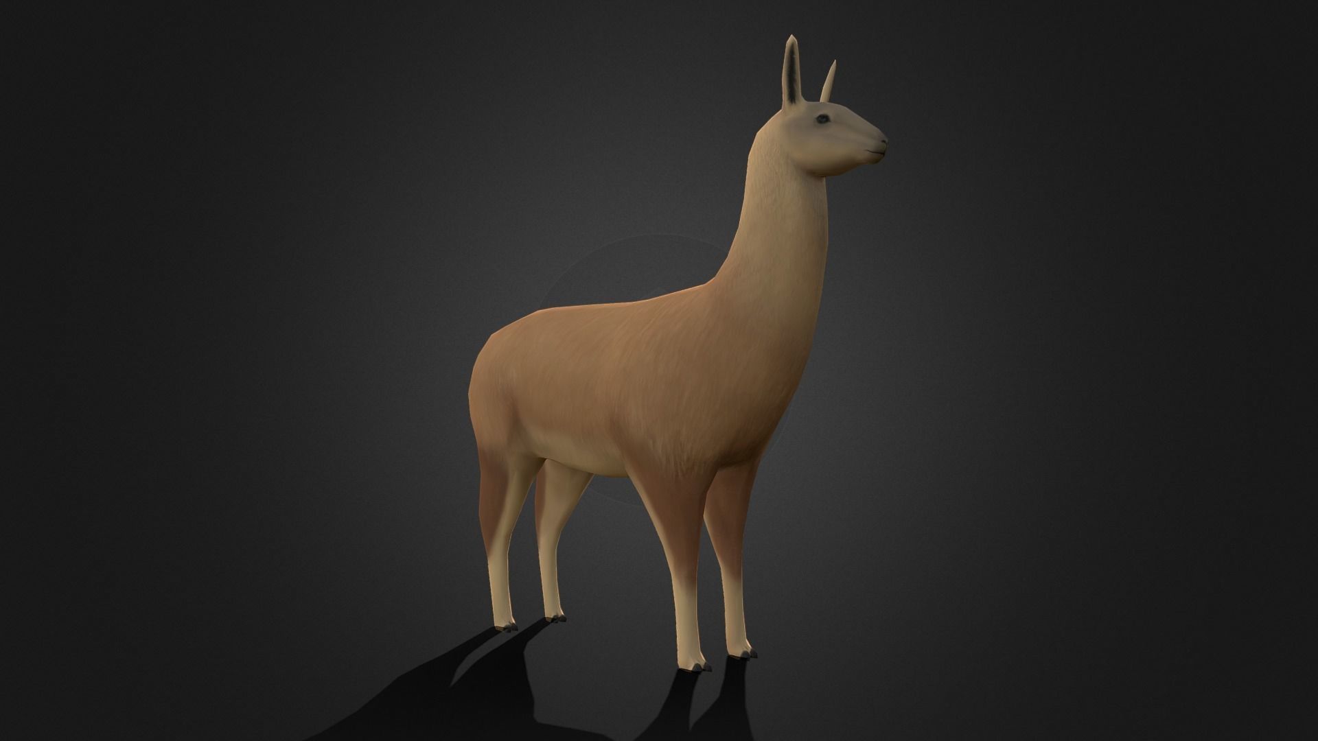 Low poly Llama - Idle Animated Low-poly 3D model_9