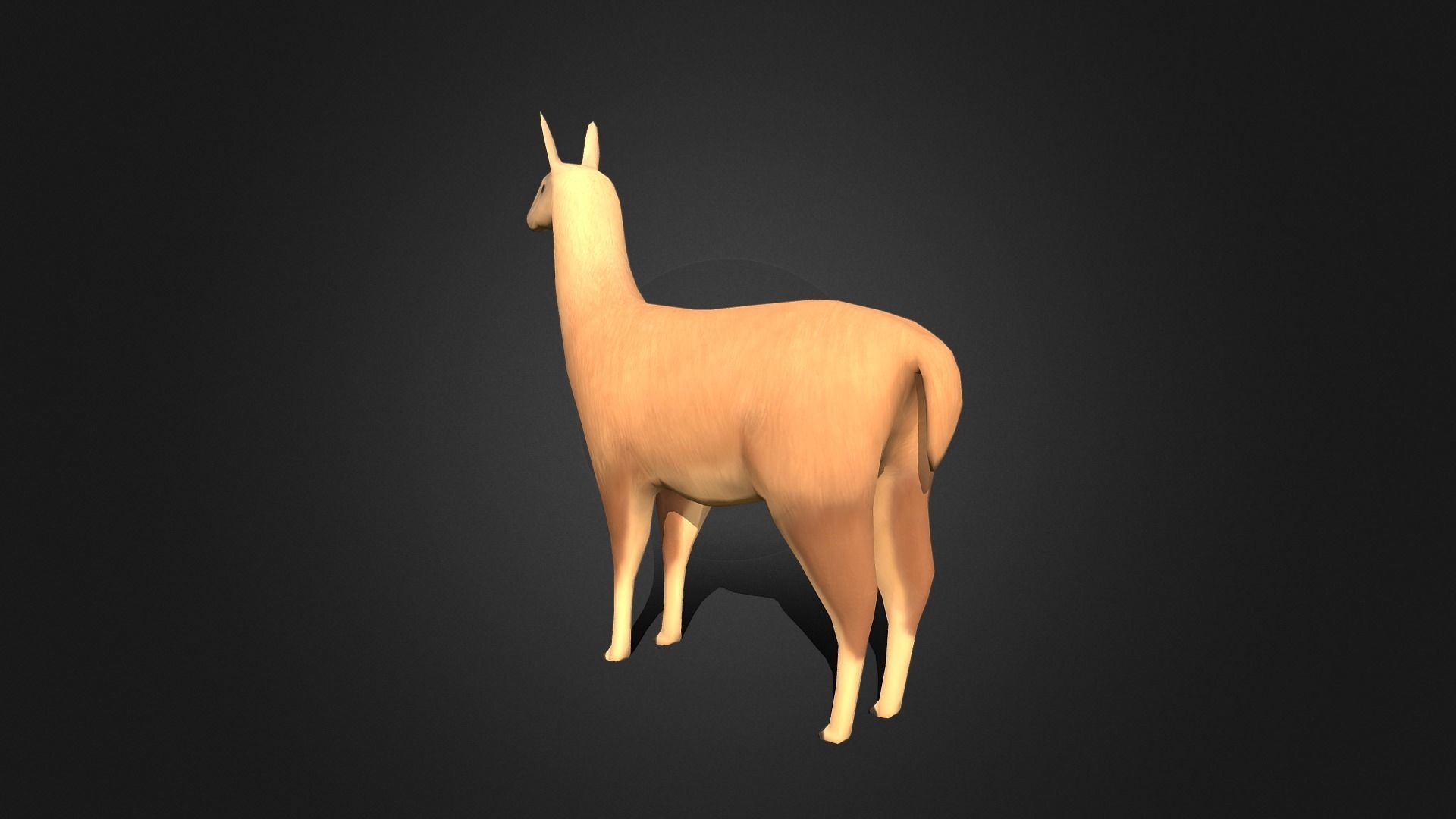 Low poly Llama - Idle Animated Low-poly 3D model_5