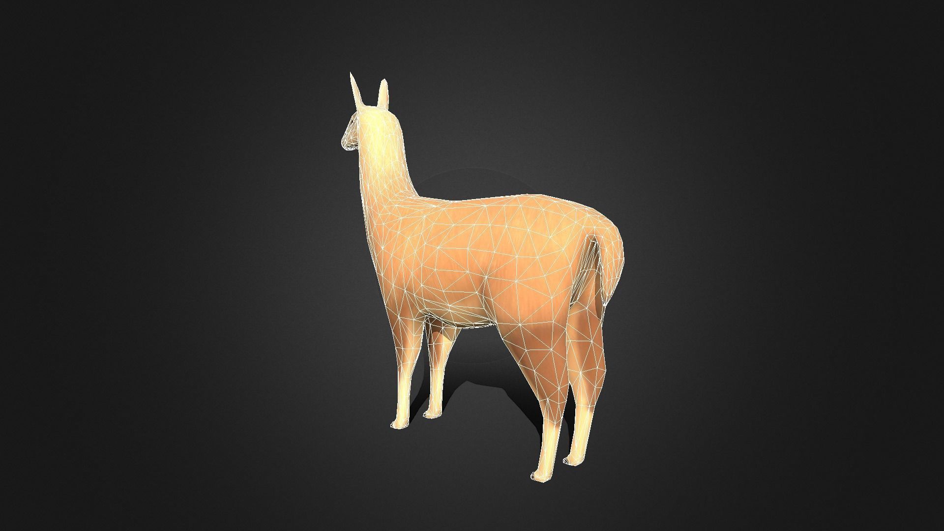 Low poly Llama - Idle Animated Low-poly 3D model_6