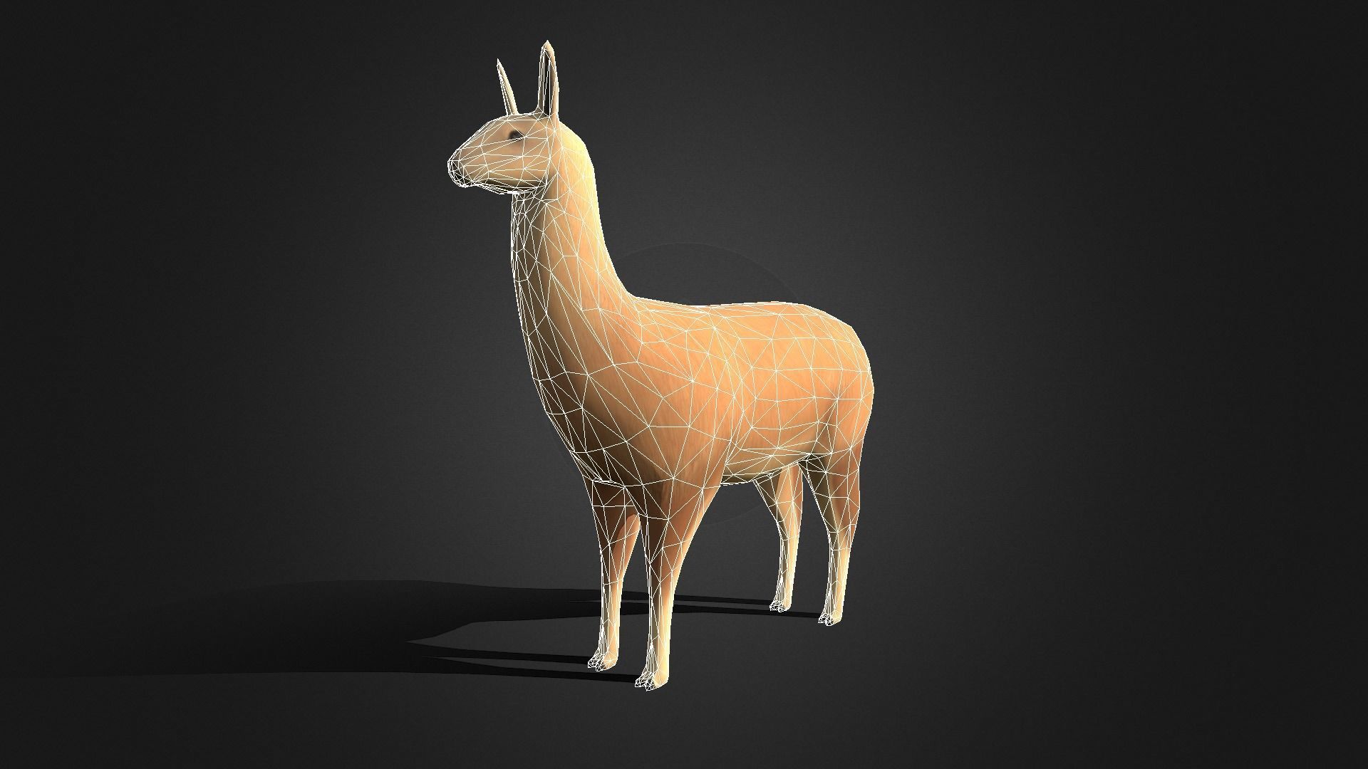 Low poly Llama - Idle Animated Low-poly 3D model_2