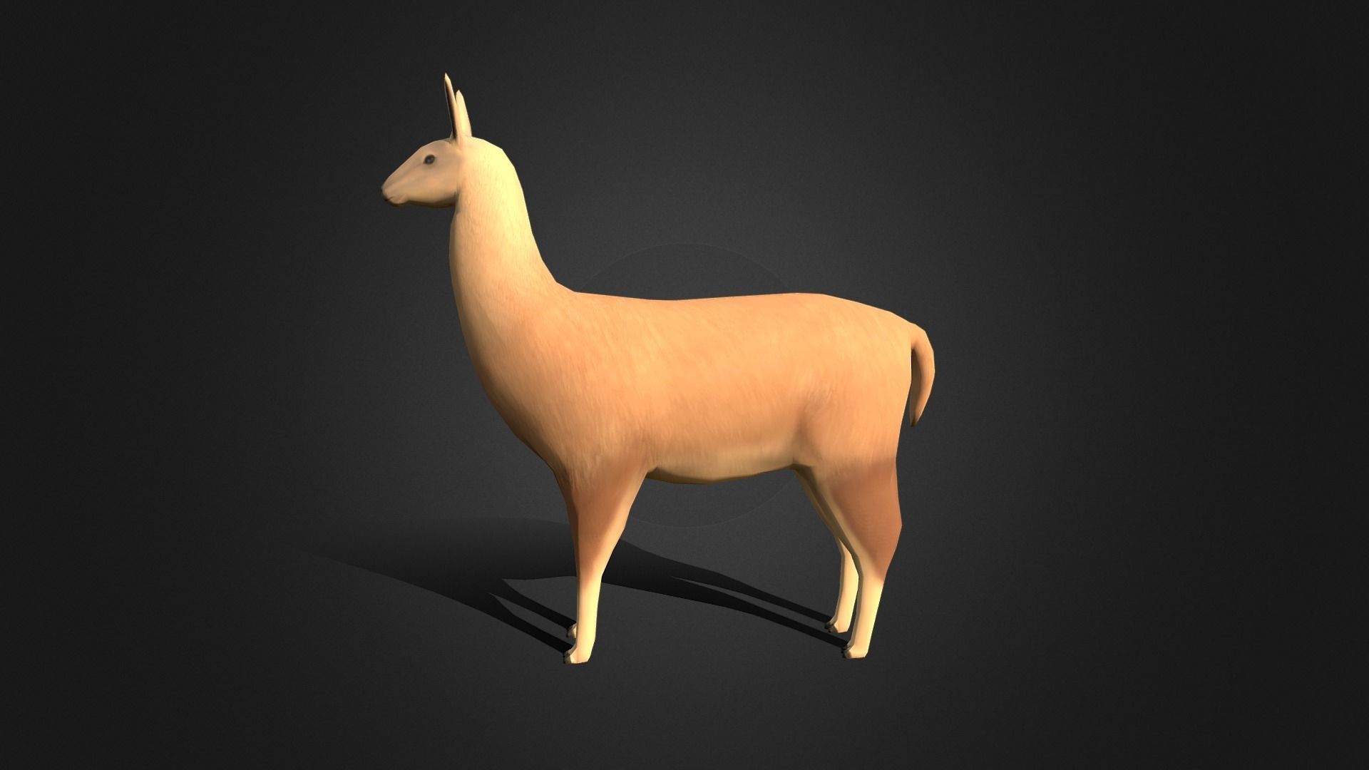 Low poly Llama - Idle Animated Low-poly 3D model_3