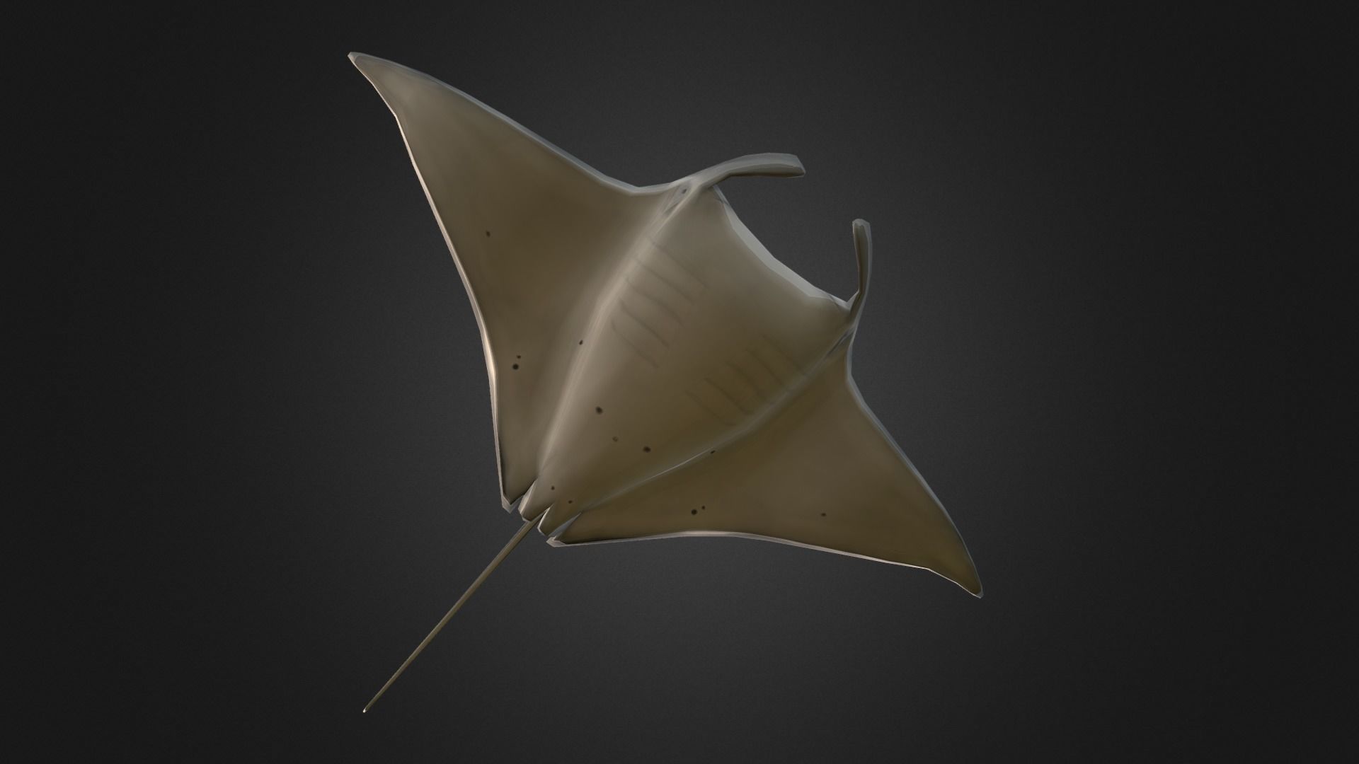 Low poly Manta Ray - Idle Animated Low-poly 3D model_5