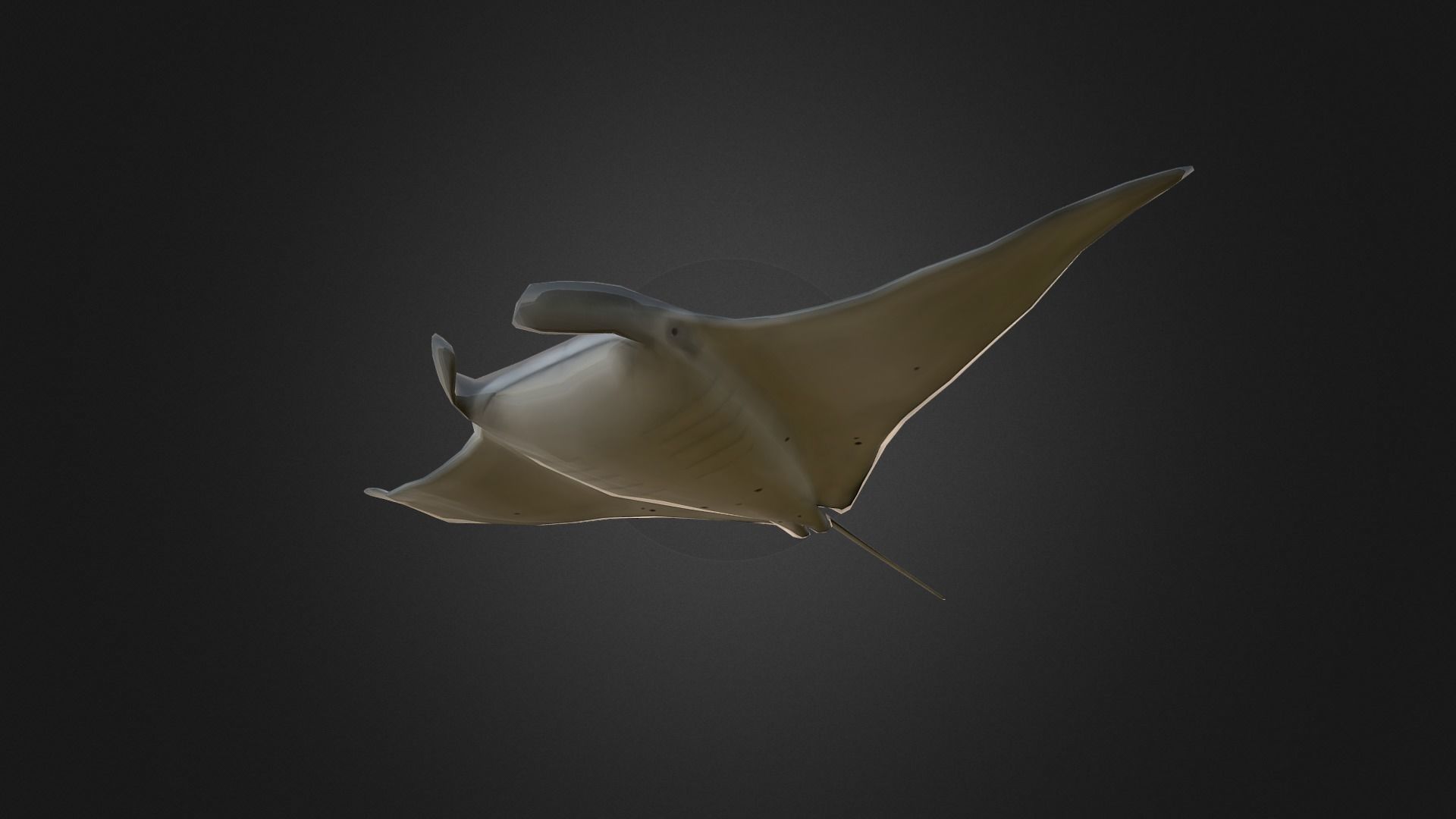 Low poly Manta Ray - Idle Animated Low-poly 3D model_3