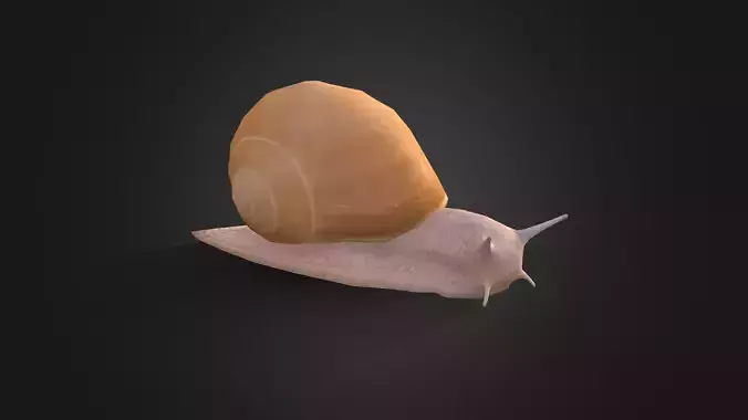 Low poly Snail - Idle Animated