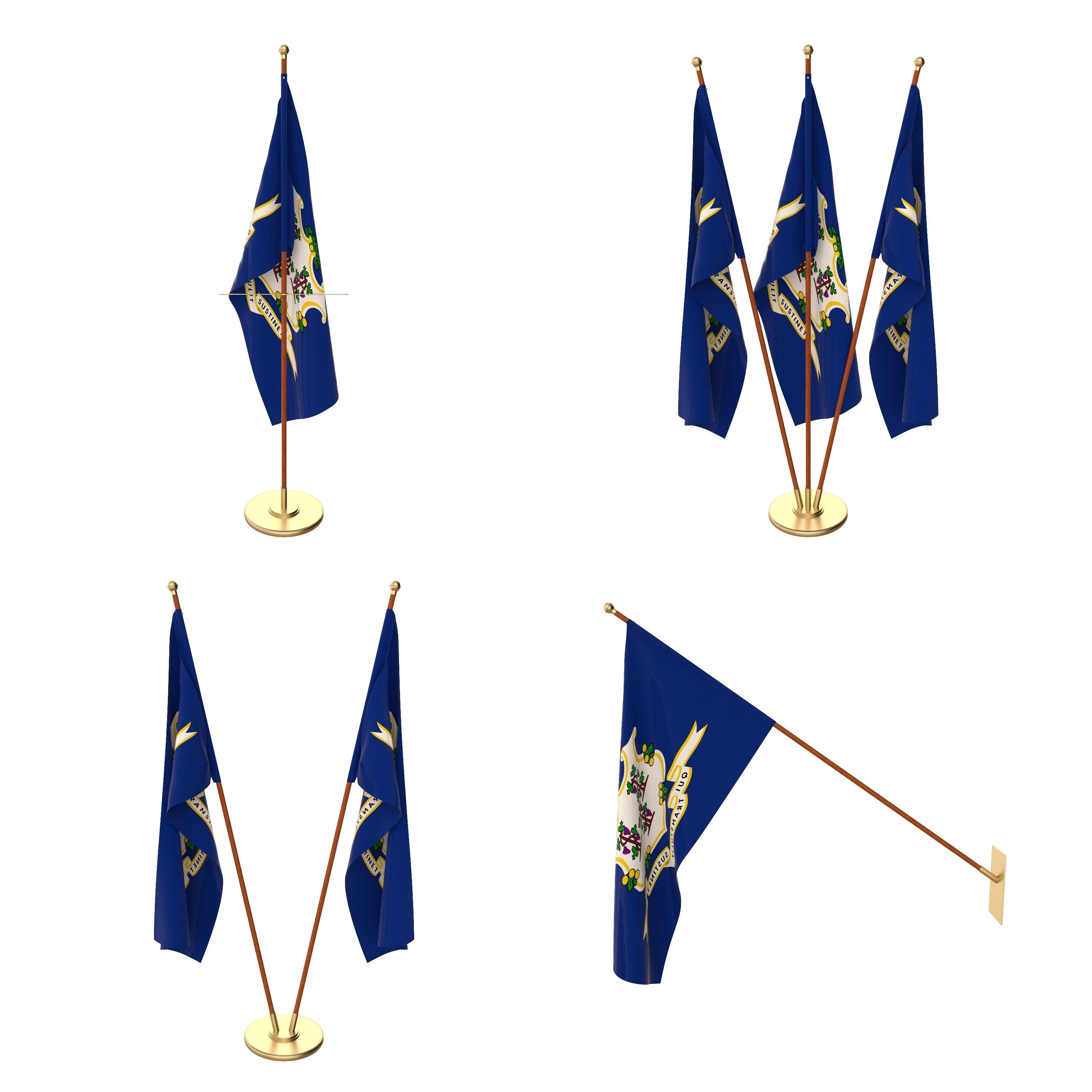 Connecticut Flag Pack 3D model_1