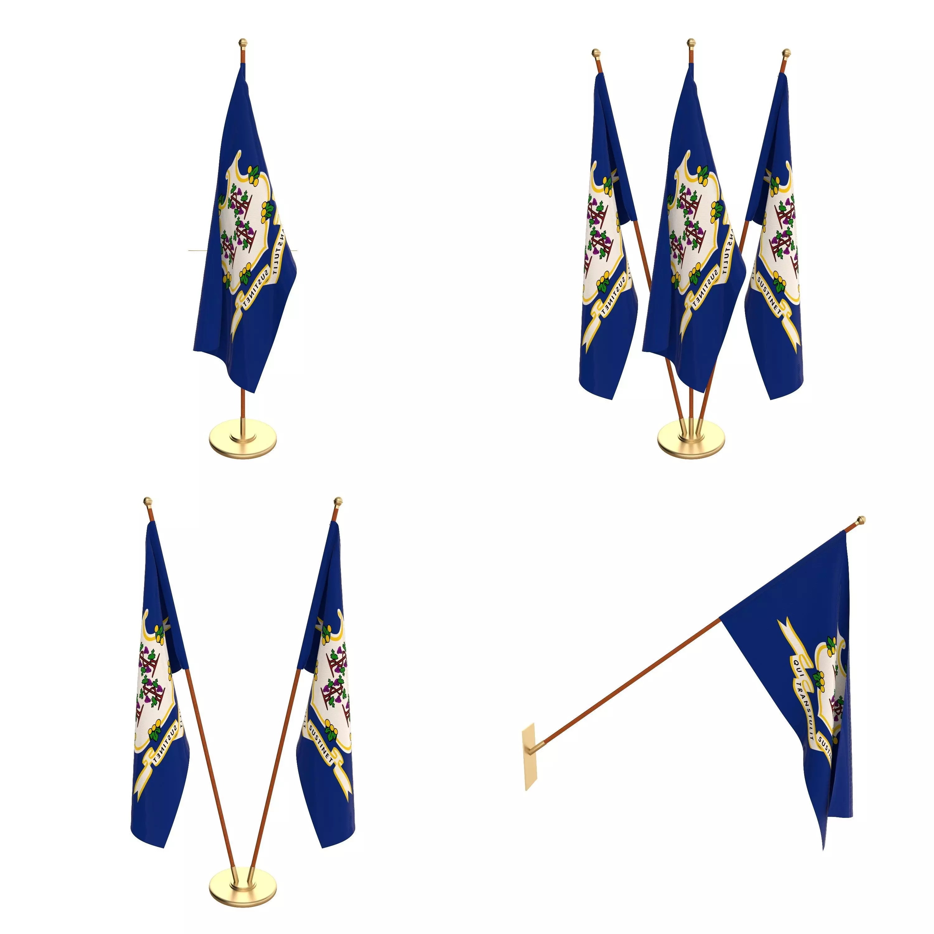 Connecticut Flag Pack 3D model_0