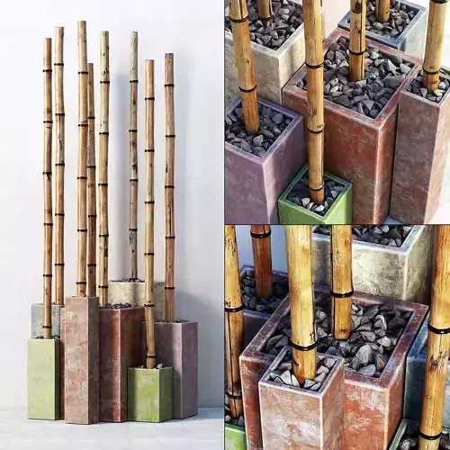 Bamboo decor color box