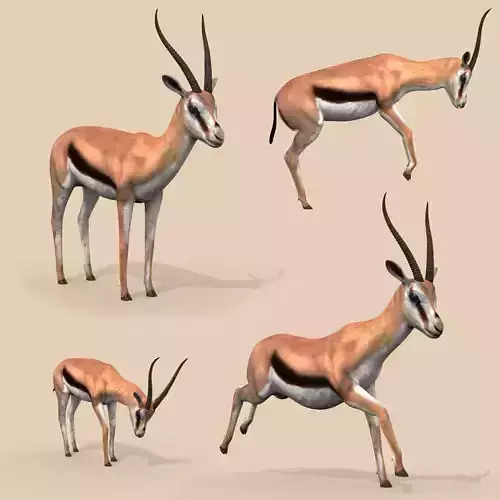 PRO Gazelle Low-poly 3D model