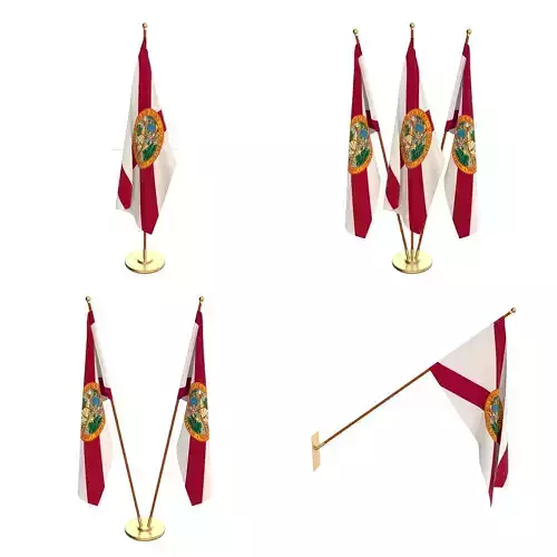 Florida Flag Pack 3D model