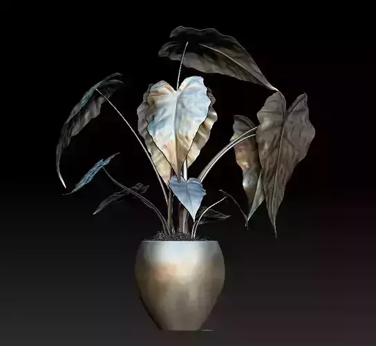 Plant in vase 3D model
