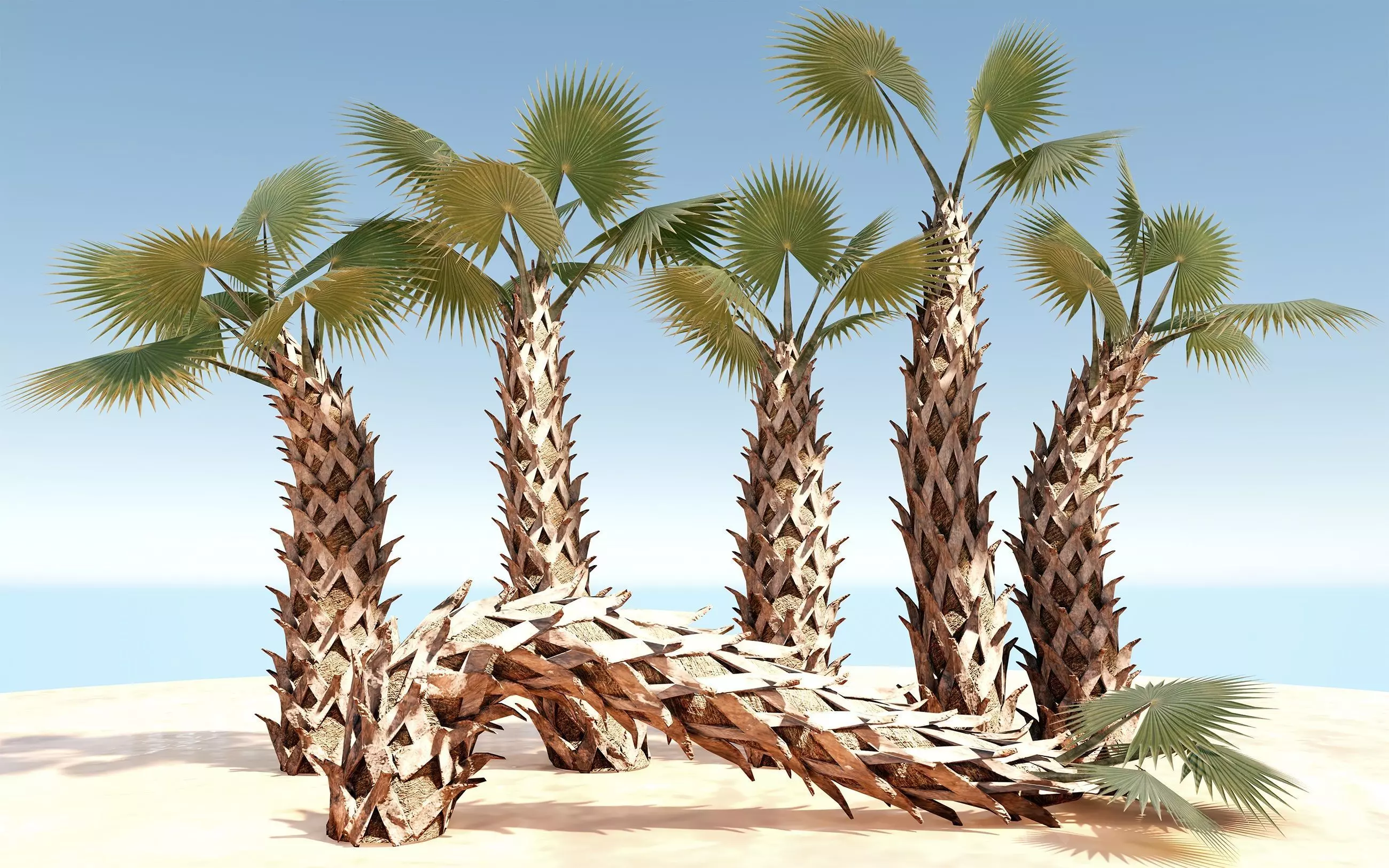 Sabal Palm Low-poly 3D model_0