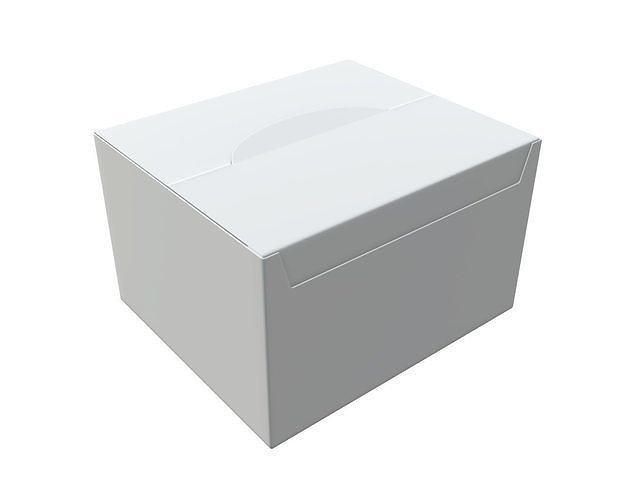 Package blank white closed large mock up 3D model