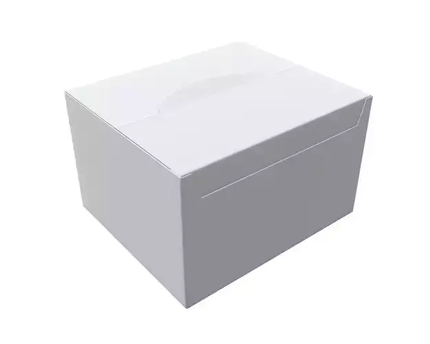 Package blank white closed large mock up 3D model