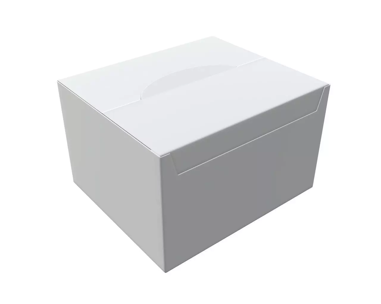 Package blank white closed large mock up 3D model_0