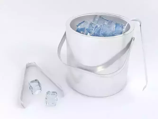 Pack of ice cubes ice bucket and tweezers