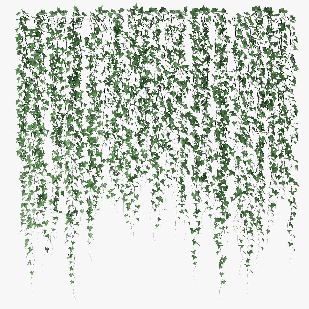 Ivy wall 06 3D model_0