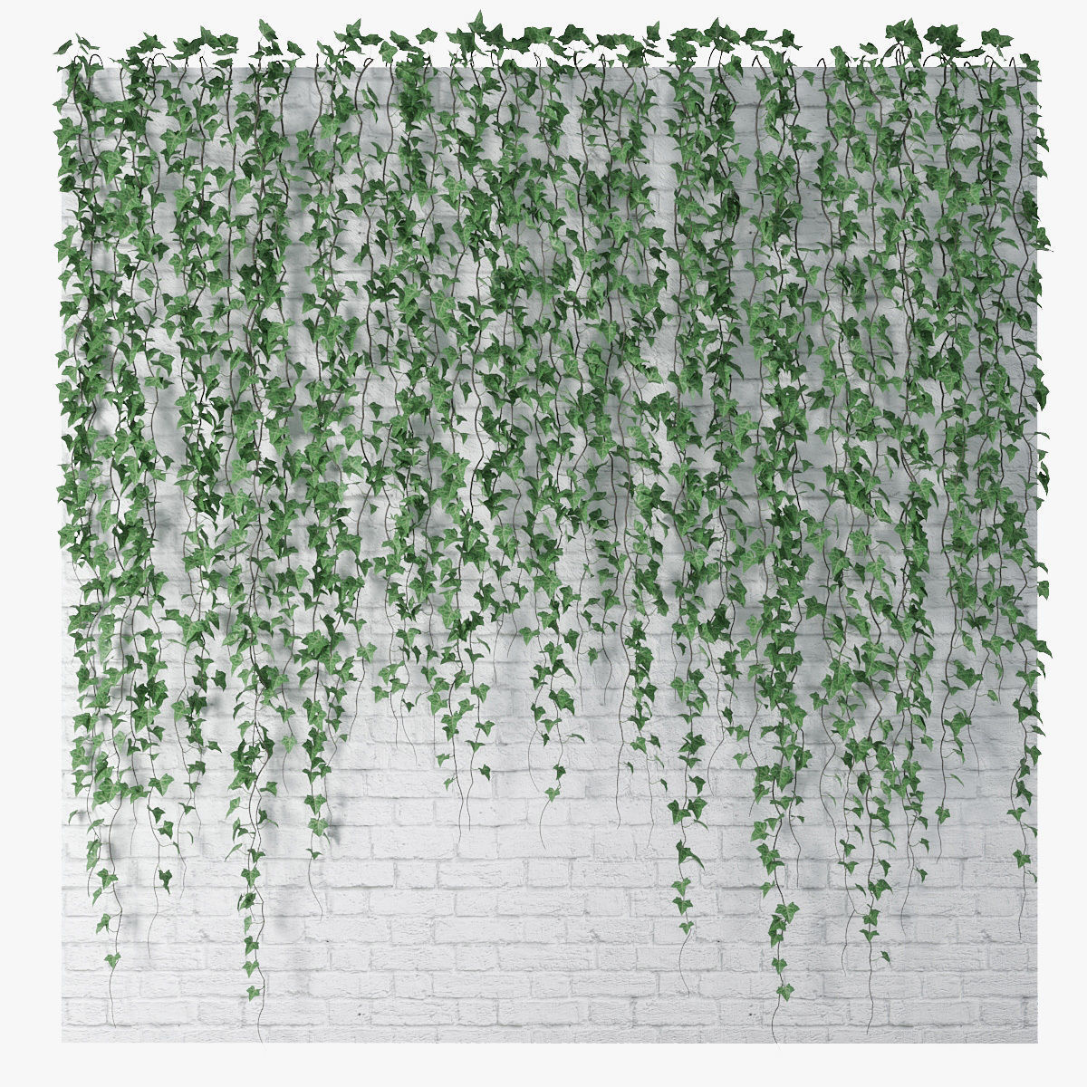 Ivy wall 06 3D model_1