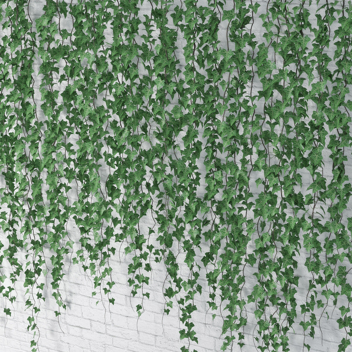 Ivy wall 06 3D model_7