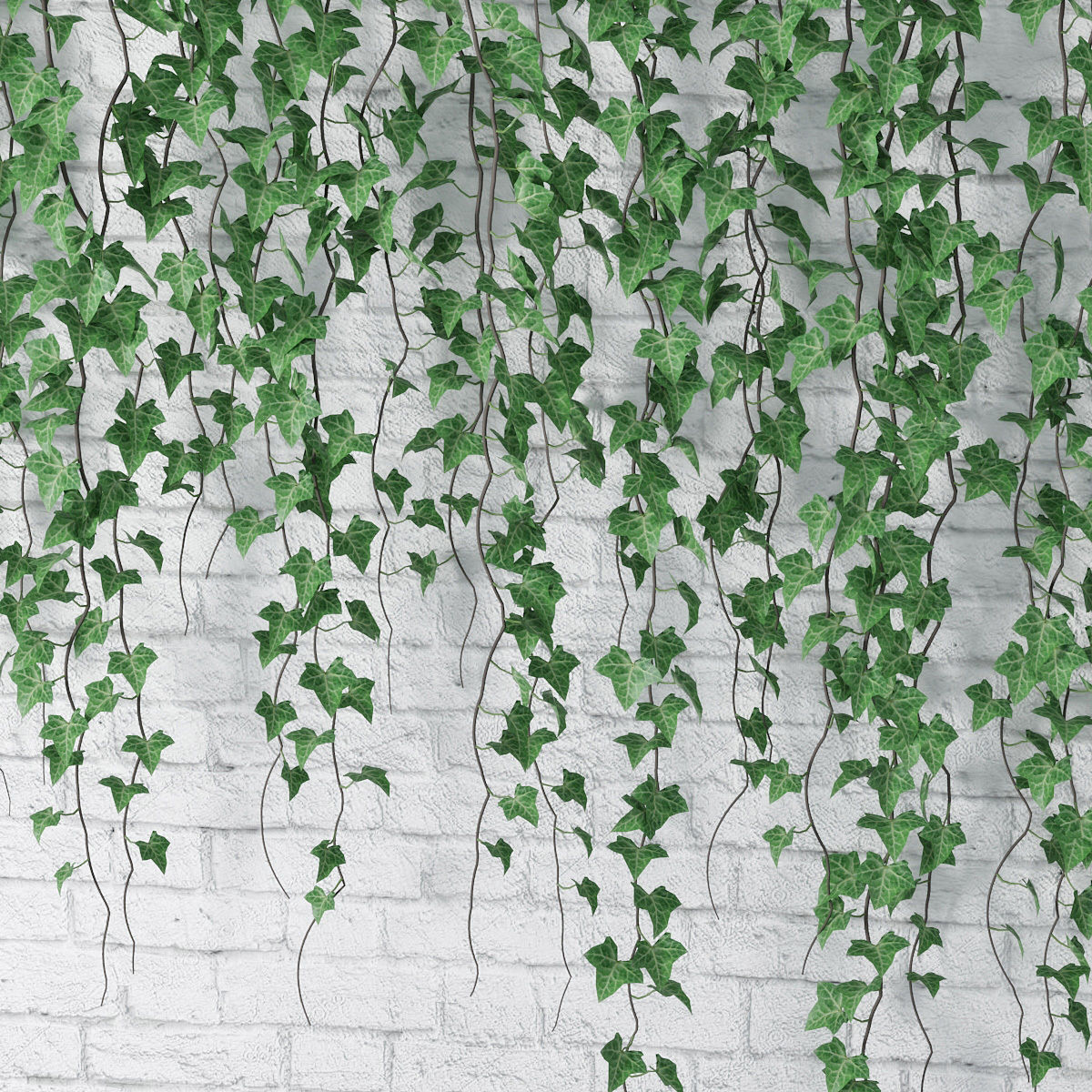 Ivy wall 06 3D model_8