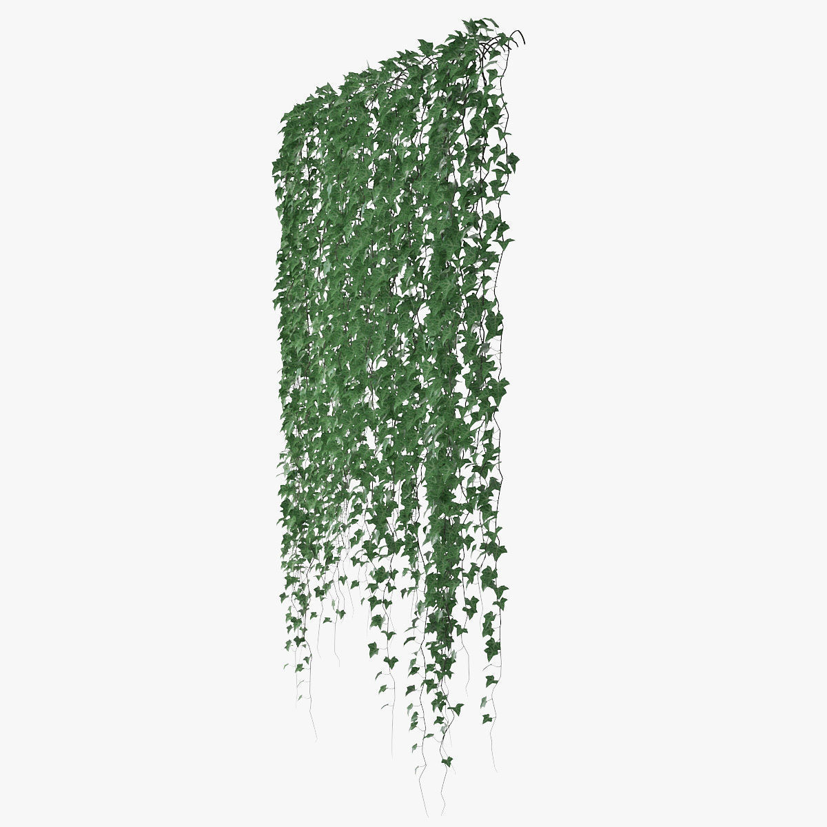 Ivy wall 06 3D model_4