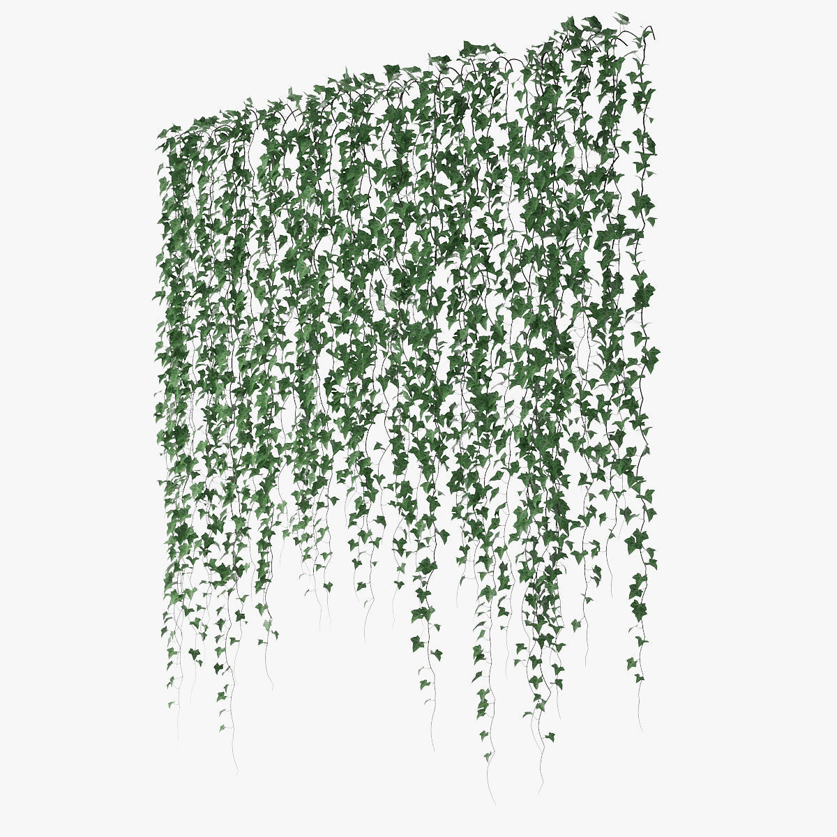 Ivy wall 06 3D model_3