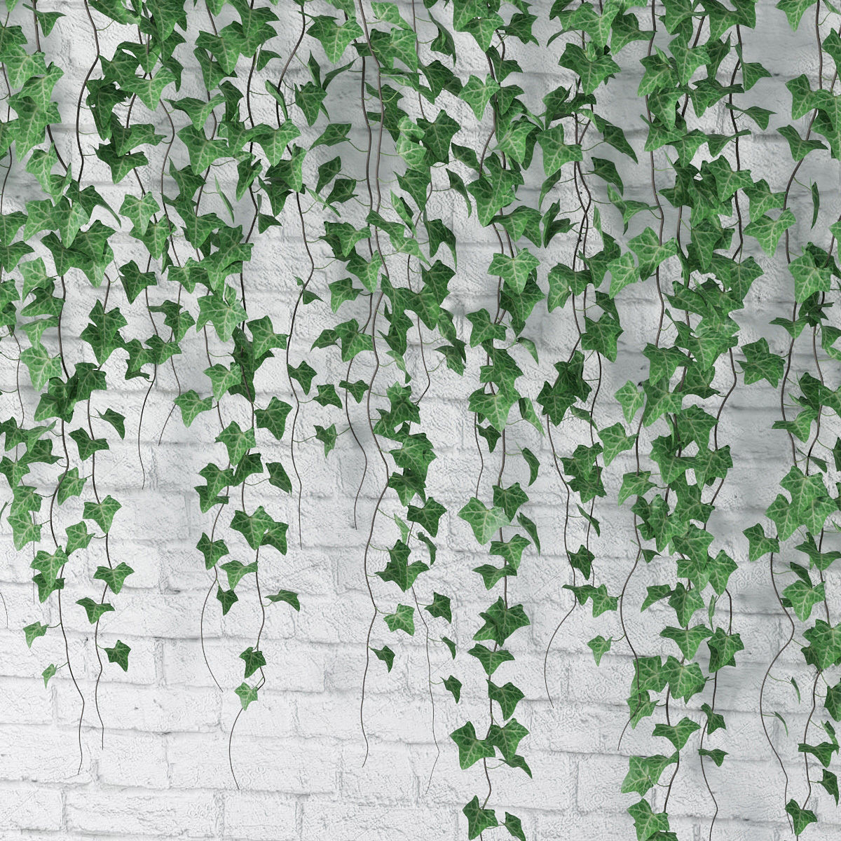 Ivy wall 06 3D model_10