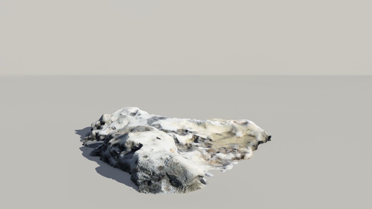 Whale Vertebrae Fossil 3d Scanned Model 3D model_5