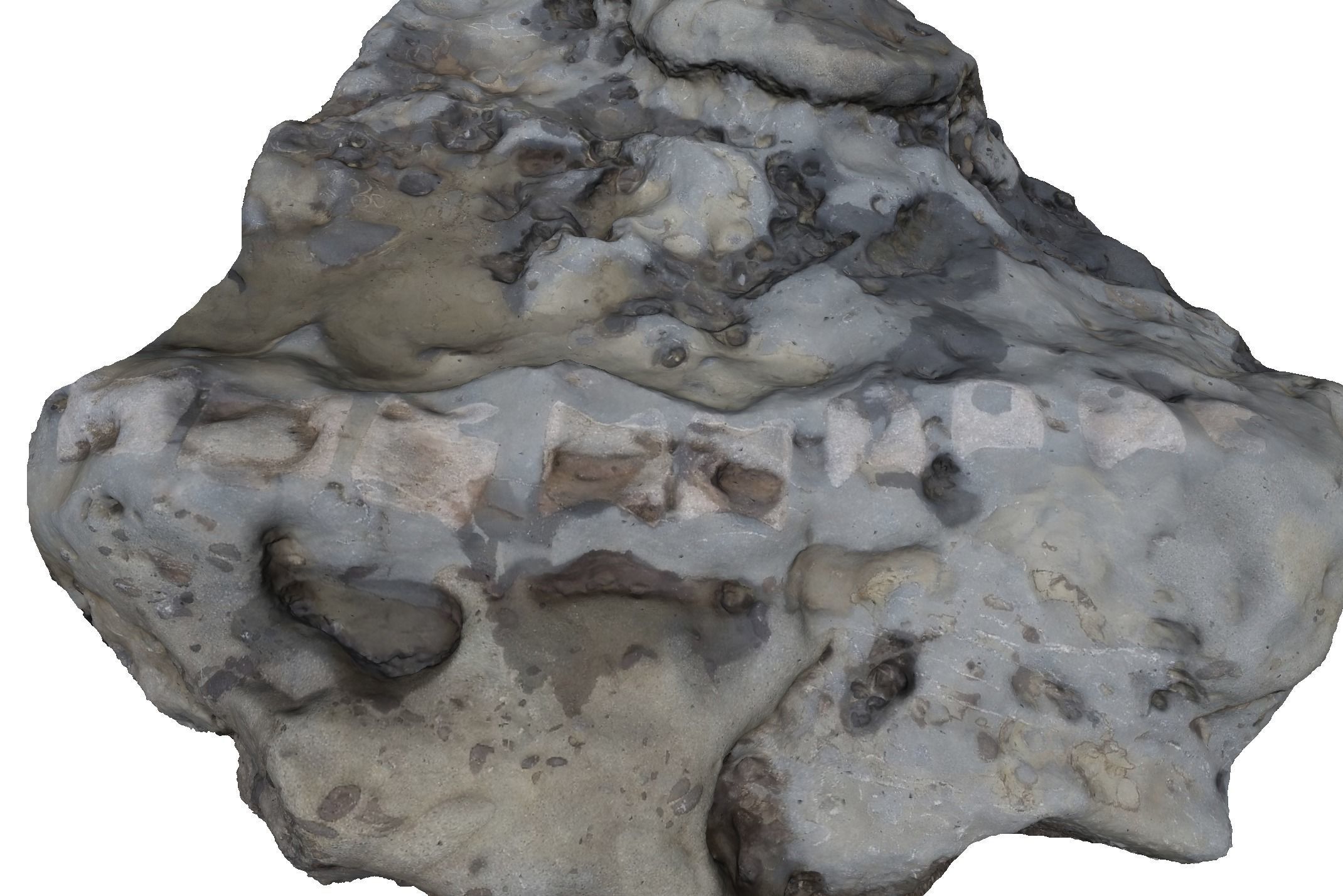 Whale Vertebrae Fossil 3d Scanned Model 3D model_6