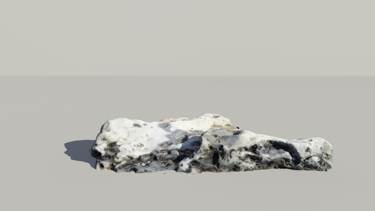 Whale Vertebrae Fossil 3d Scanned Model 3D model_1