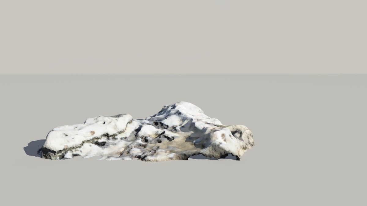 Whale Vertebrae Fossil 3d Scanned Model 3D model_2