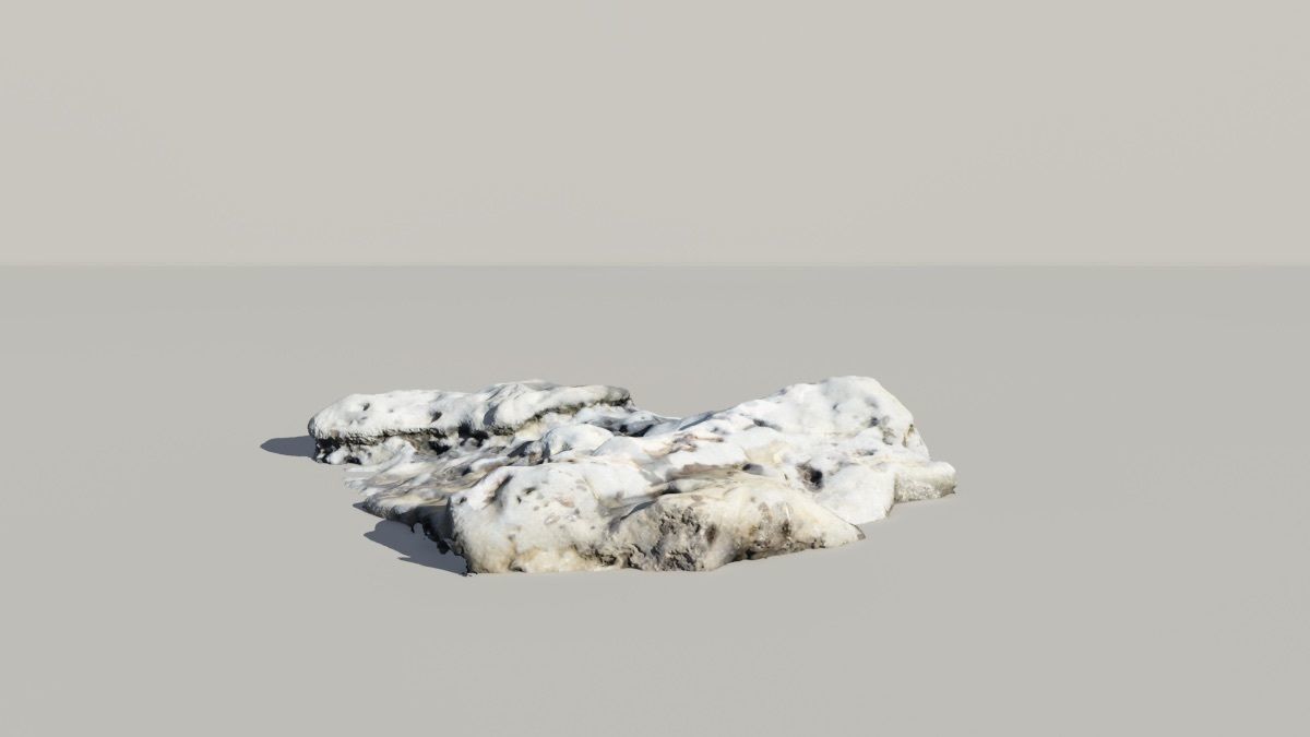 Whale Vertebrae Fossil 3d Scanned Model 3D model_4