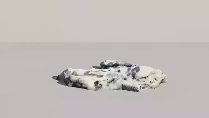 Whale Vertebrae Fossil 3d Scanned Model 3D model