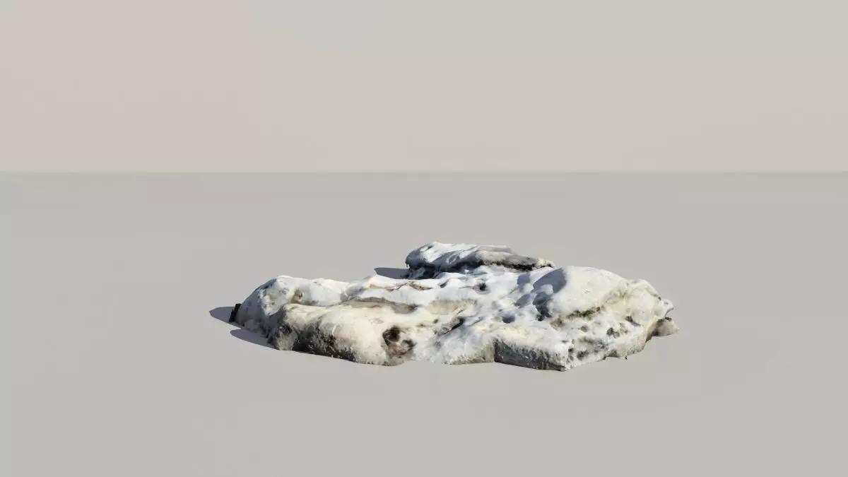 Whale Vertebrae Fossil 3d Scanned Model 3D model_0