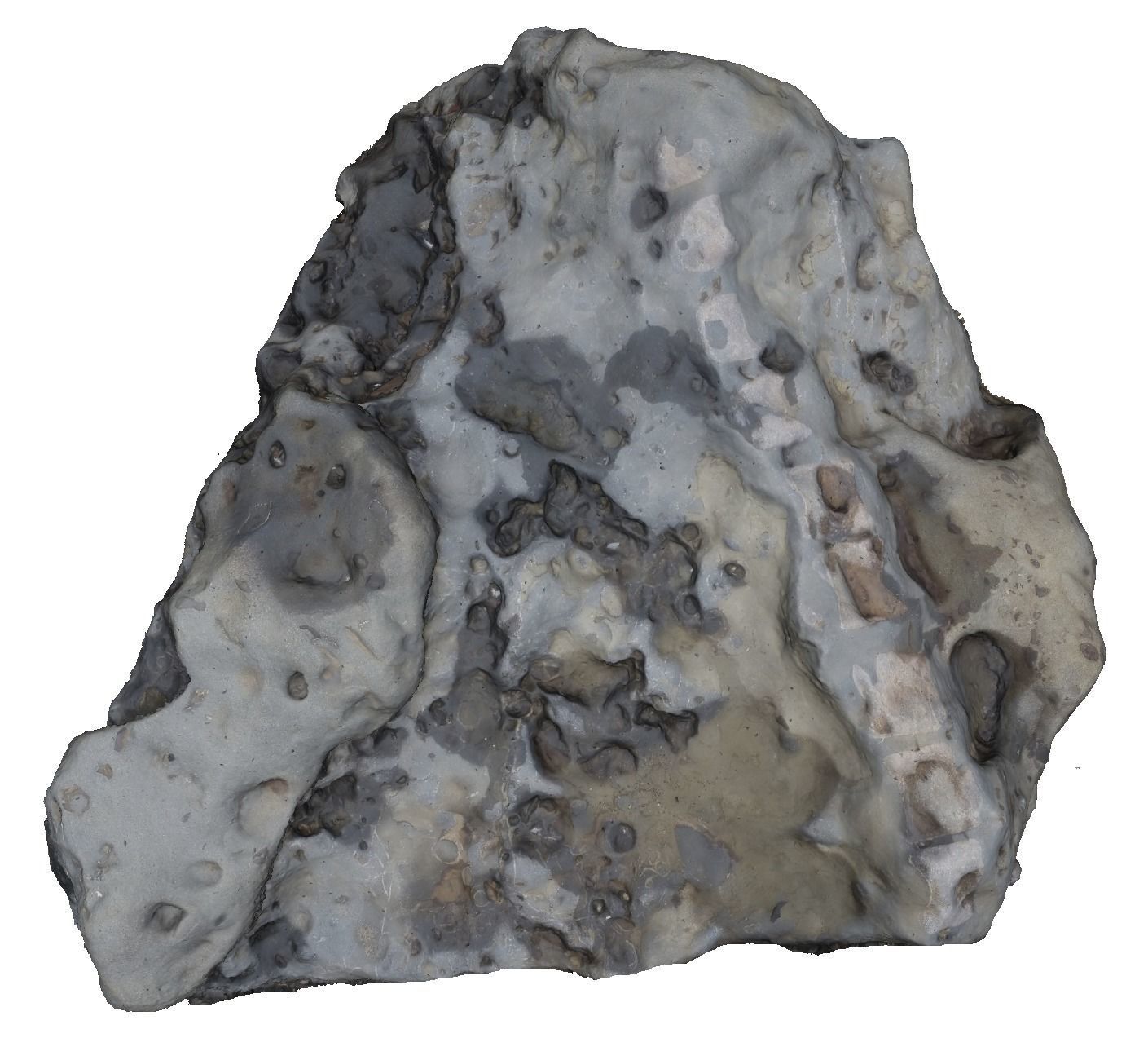 Whale Vertebrae Fossil 3d Scanned Model 3D model_7