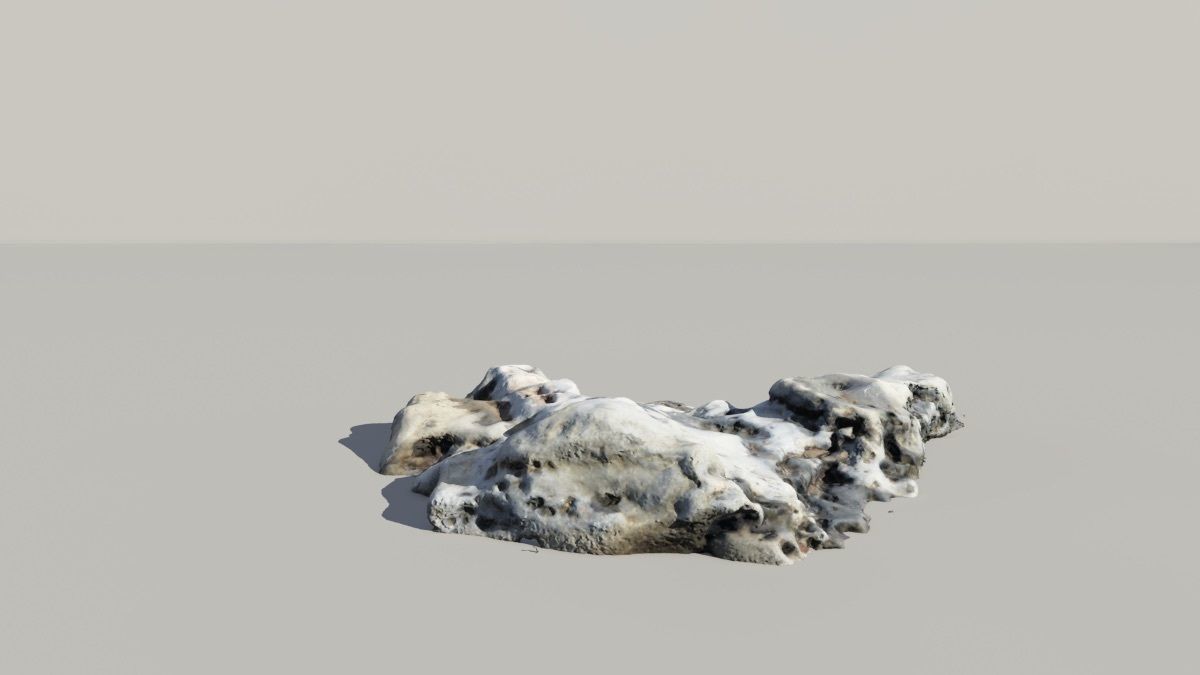 Whale Vertebrae Fossil 3d Scanned Model 3D model_3