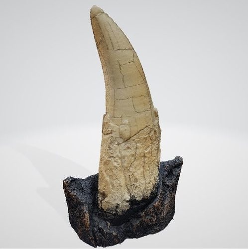 Tooth Tyrannosaurus rex  of original 3D scan ready to print 3D print model